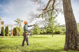 Best Tree Cabling and Bracing  in Spackenkill, NY