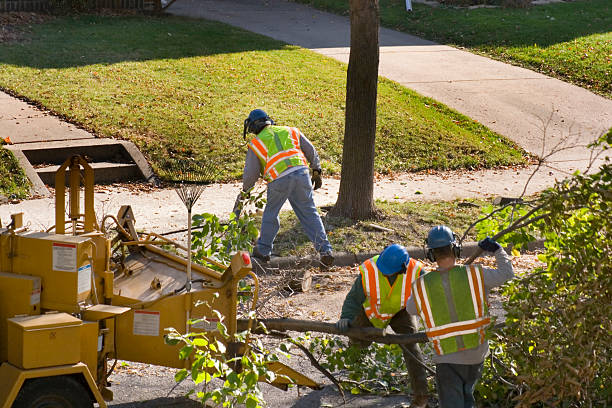  Spackenkill, NY Tree Removal Pros